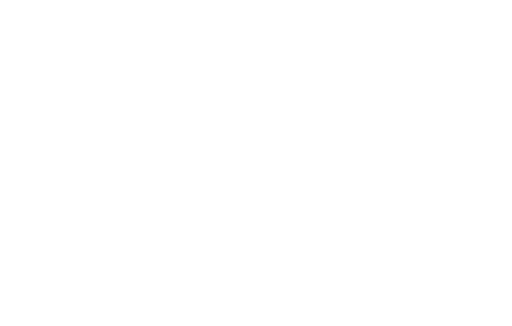ANDE